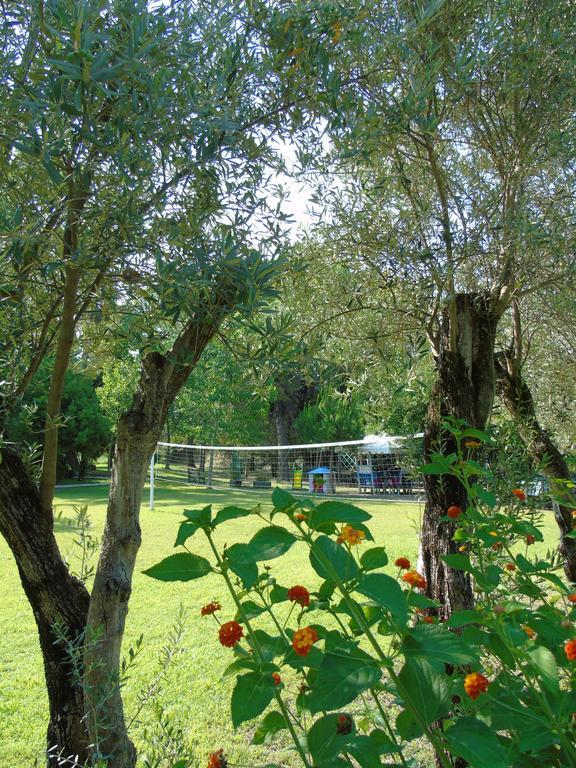 Villette Vacanze Bivona * Bivona (Calabria)