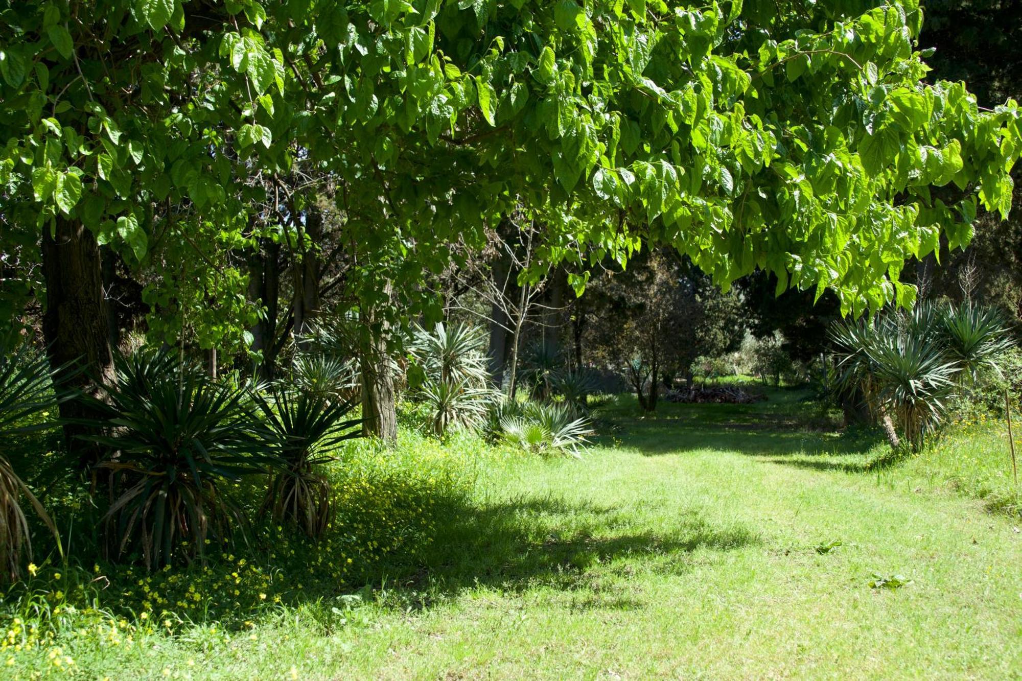 Apartment Villette Vacanze Bivona Bivona (Calabria)