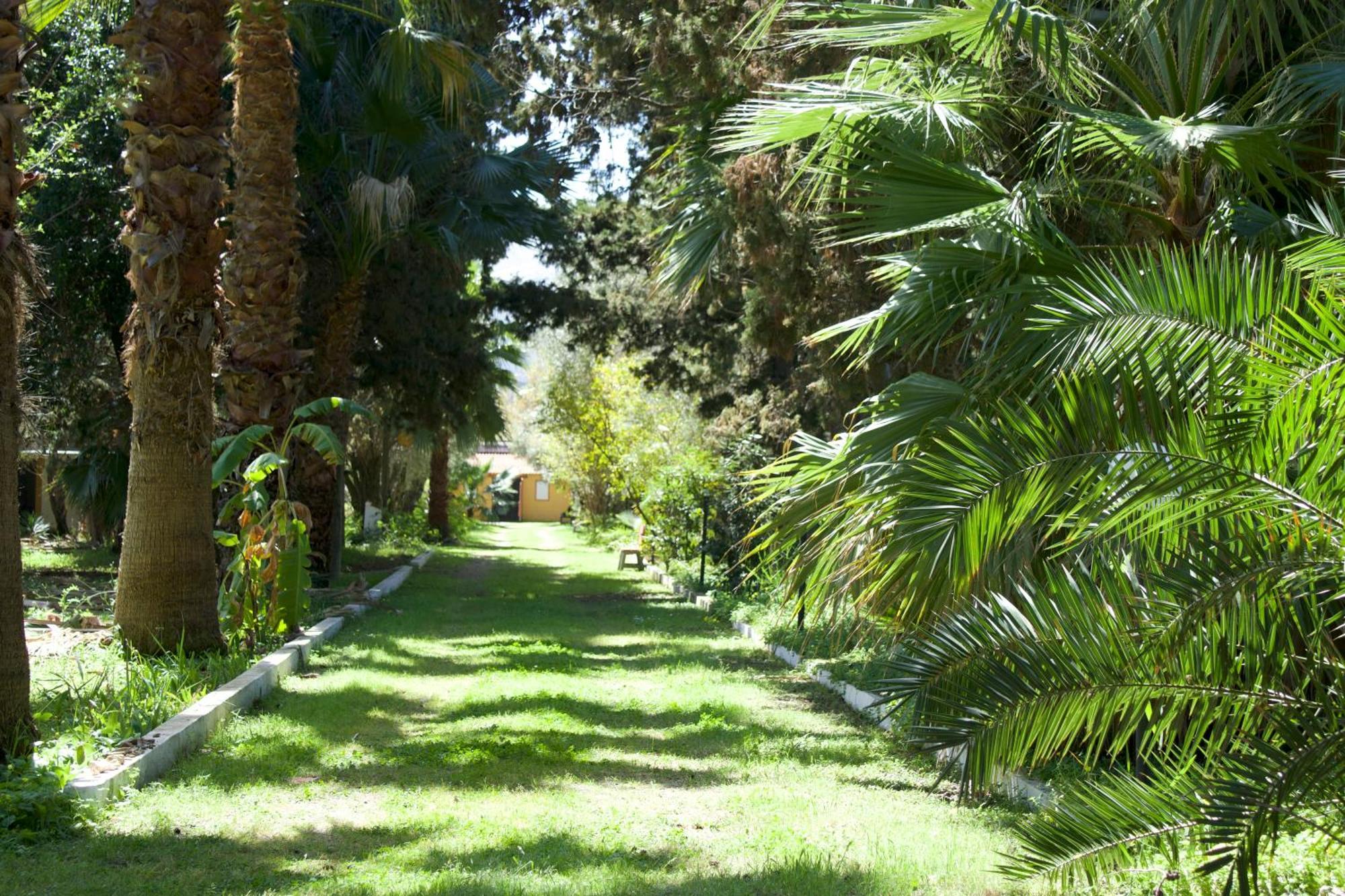 Apartment Villette Vacanze Bivona Bivona (Calabria)