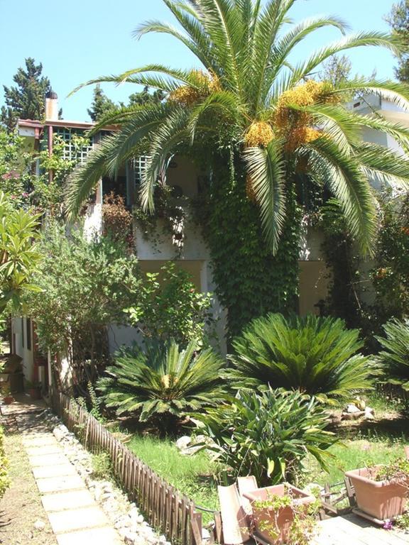 Villette Vacanze Bivona Bivona (Calabria)