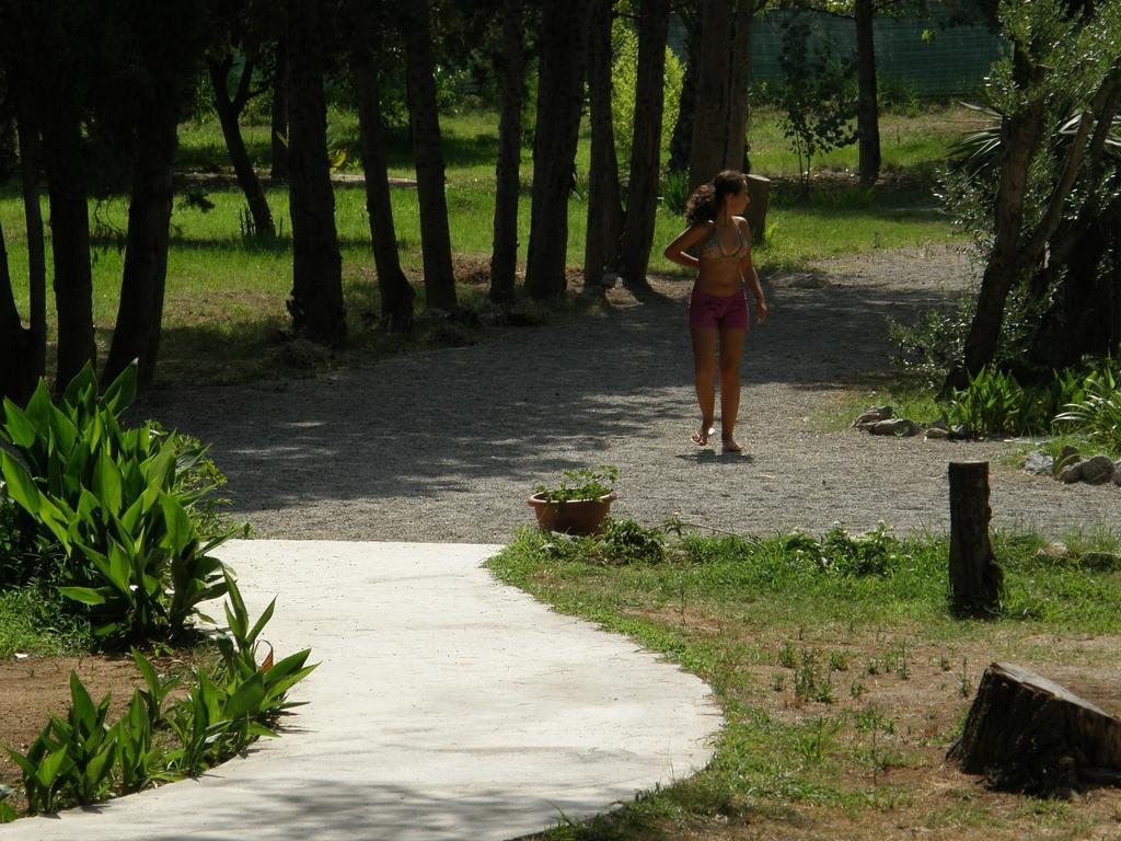Apartment Villette Vacanze Bivona Bivona (Calabria)